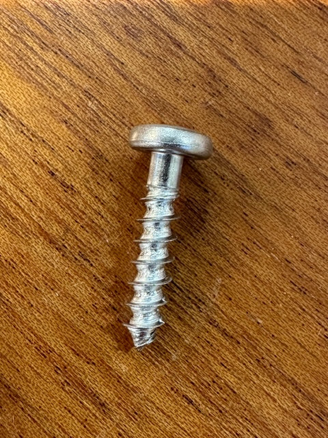 M6X28MM SS ST PPH SCREW